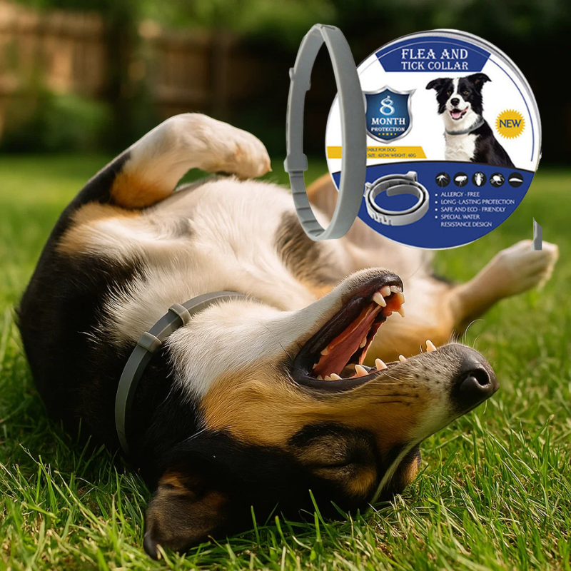 Natural Defense Flea Treatment – Natural, Chemical-Free Solution for Flea & Tick Control