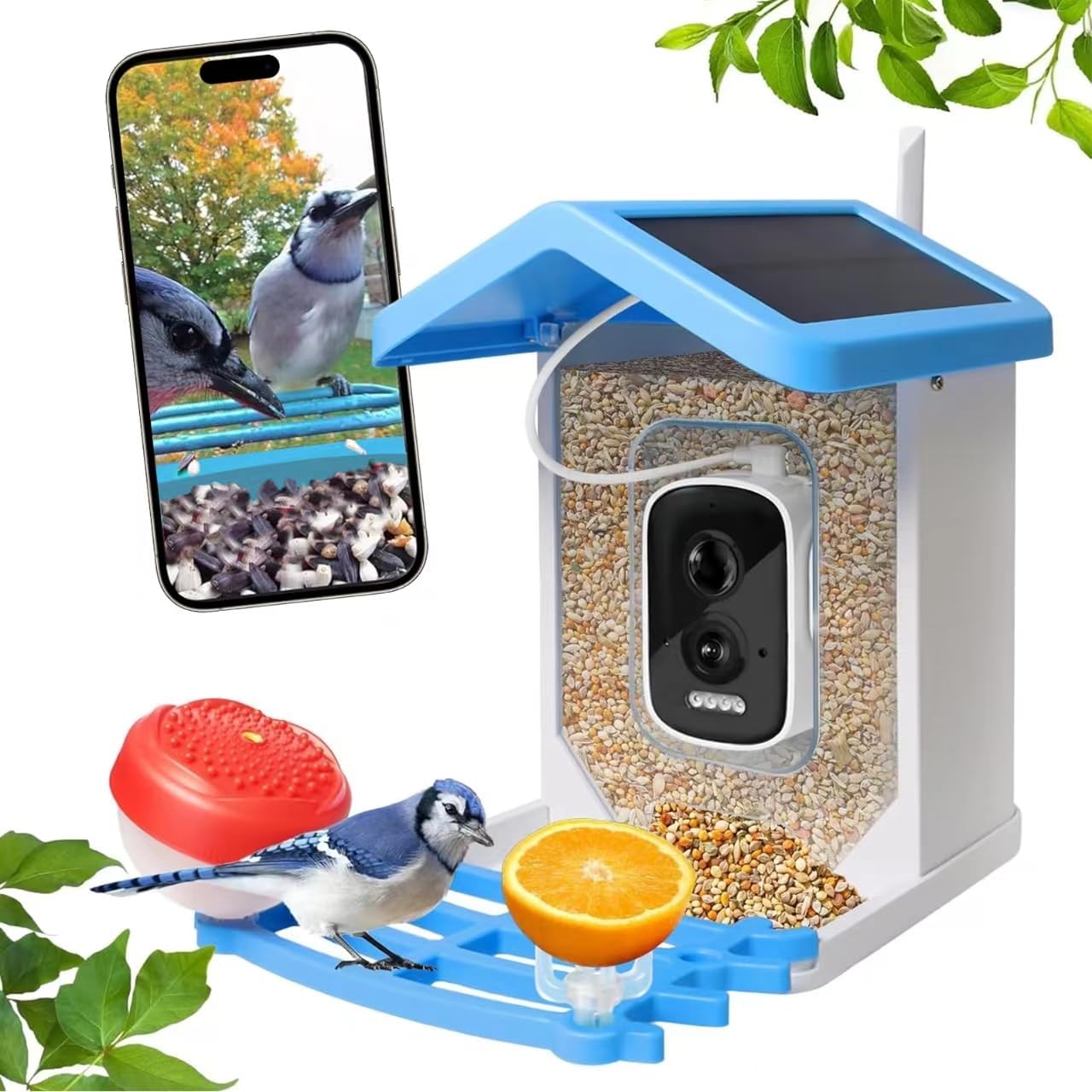 Smart Bird Feeder with Camera - Solar Powered for Live Bird Watching