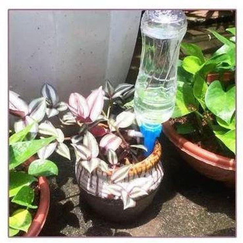 Self-Watering Plant Spikes - 12 Pack Automatic Watering Devices for Potted Plants & Indoor Gardening