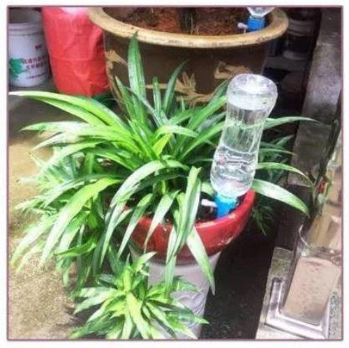 Self-Watering Plant Spikes - 12 Pack Automatic Watering Devices for Potted Plants & Indoor Gardening