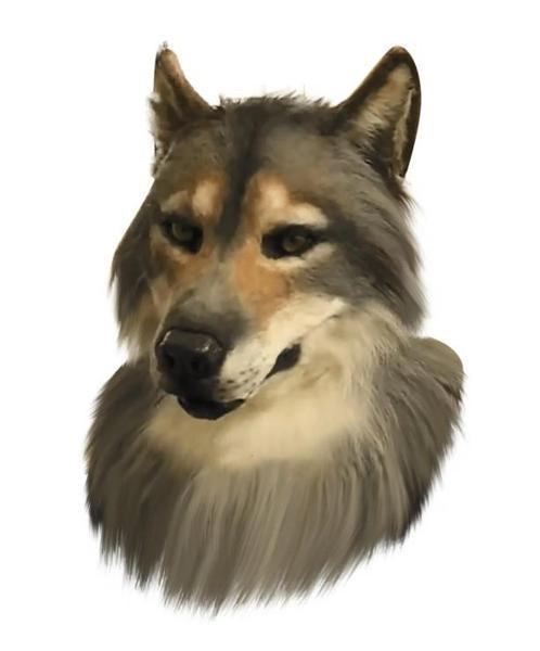 Realistic Wolf Mask for Halloween Costume - Detailed Animal Face for Parties & Theatrical Performances
