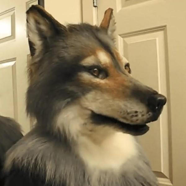 Realistic Wolf Mask for Halloween Costume - Detailed Animal Face for Parties & Theatrical Performances