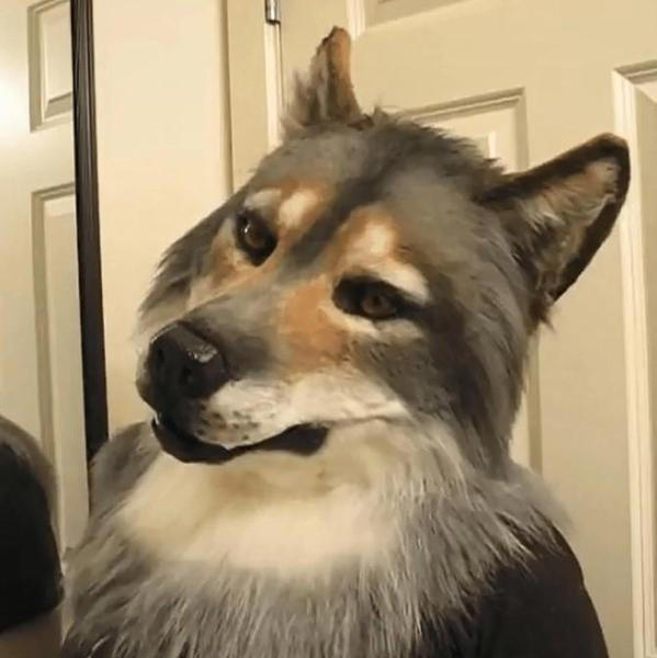 Realistic Wolf Mask for Halloween Costume - Detailed Animal Face for Parties & Theatrical Performances