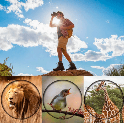 Night Vision Binoculars - Best Long Range Binoculars