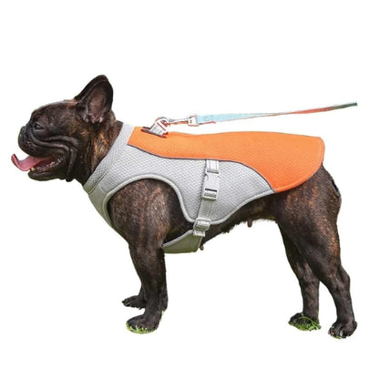 Dog Cooling Vest – Adjustable Cooler Coat for Dogs, Effective Cooling Solution for Hot Weather