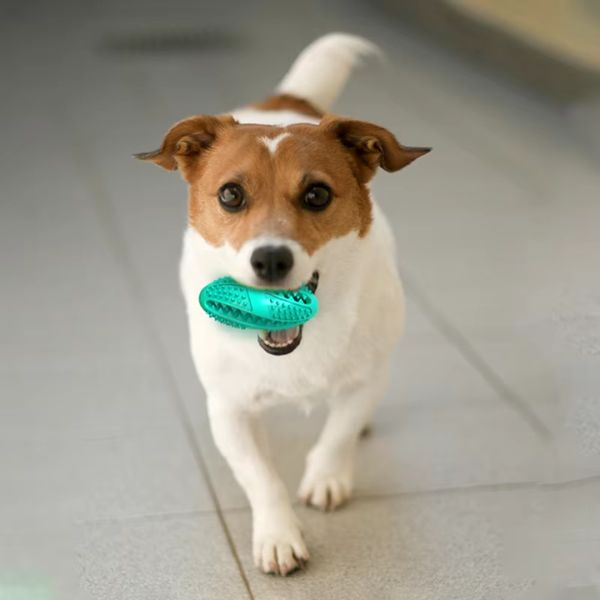 Tooth Cleaning Toy