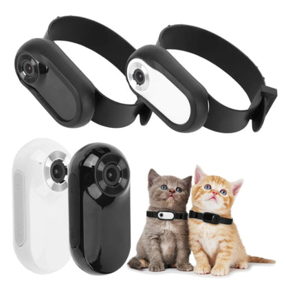 Dog Collar Camera – HD 1080P WiFi Pet Tracker with Mini Action Camera & 8GB SD Card