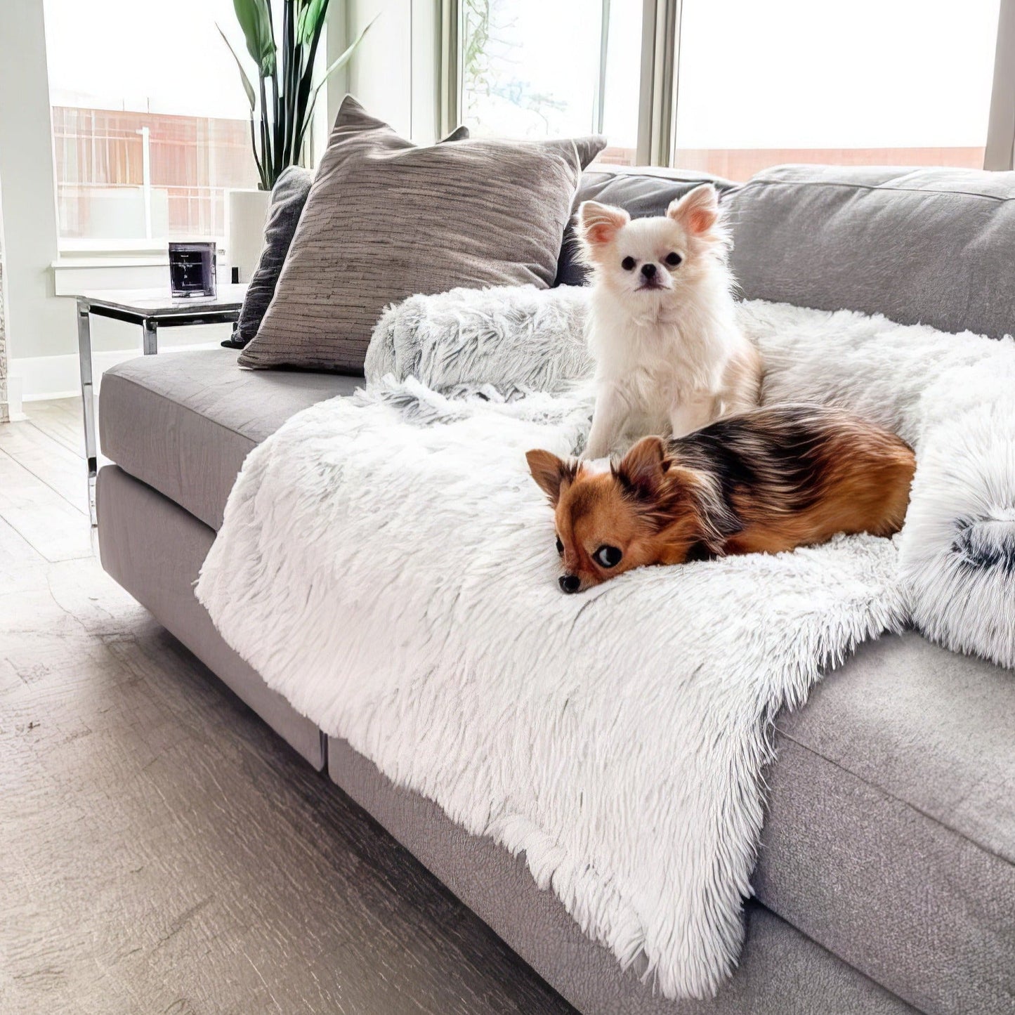 Pet Sofa Cover - Durable Cat & Dog Couch Cover Protector for Furniture