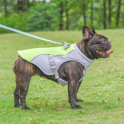 Dog Cooling Vest – Adjustable Cooler Coat for Dogs, Effective Cooling Solution for Hot Weather