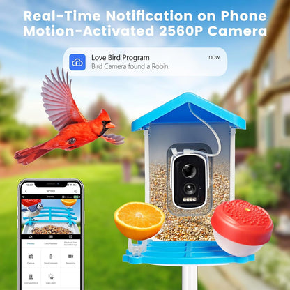 Smart Bird Feeder with Camera - Solar Powered for Live Bird Watching