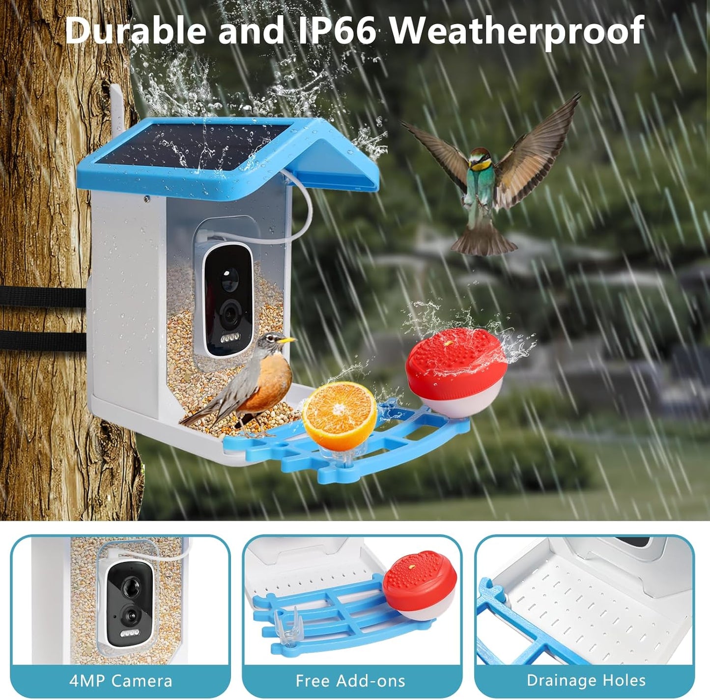 Smart Bird Feeder with Camera - Solar Powered for Live Bird Watching