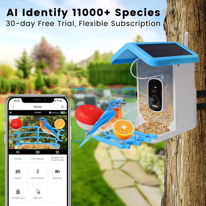 Smart Bird Feeder with Camera - Solar Powered for Live Bird Watching