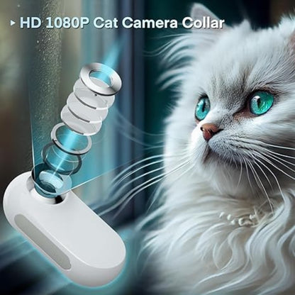 Dog Collar Camera – HD 1080P WiFi Pet Tracker with Mini Action Camera & 8GB SD Card