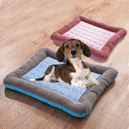 All-in-One Cooling Mat for Dogs and Cats