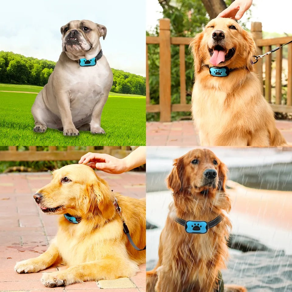 Anti-Barking Dog Collar – Effective Shock, Vibration & Sound Options for All Dog Sizes