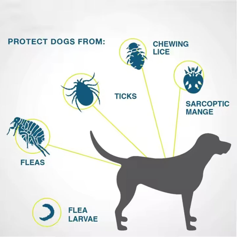 NaturalDefense Flea Treatment – Natural, Chemical-Free Solution for Flea & Tick Control