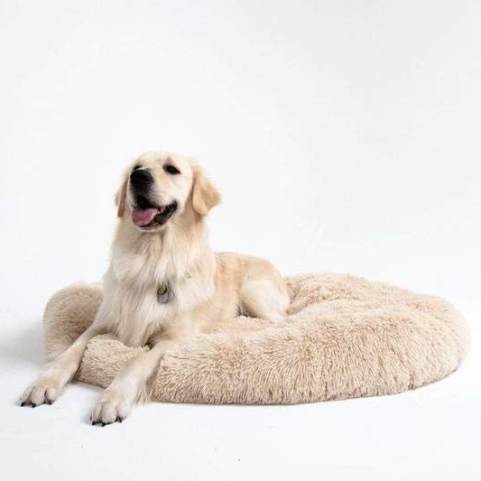 ANTI-ANXIETY CALMING BED FOR DOGS