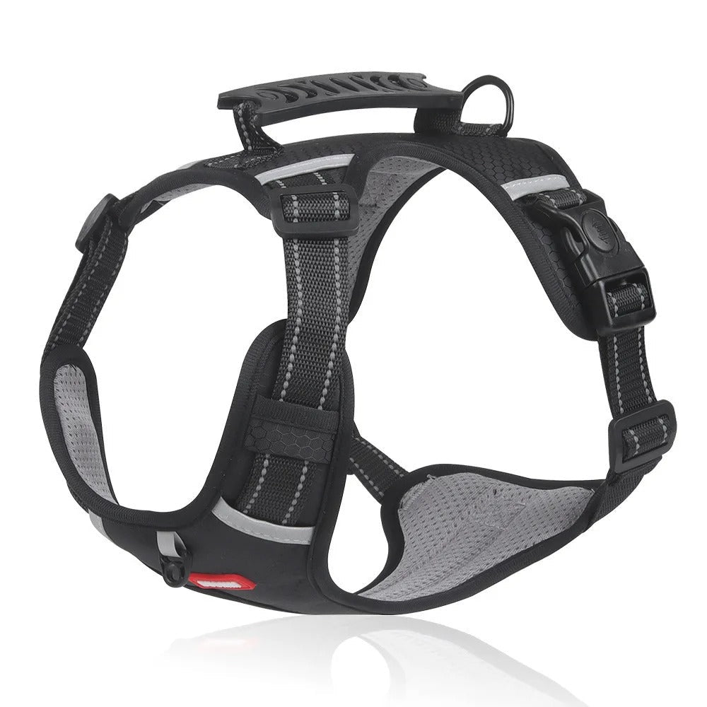 GripHarness No-Pull Dog Harness