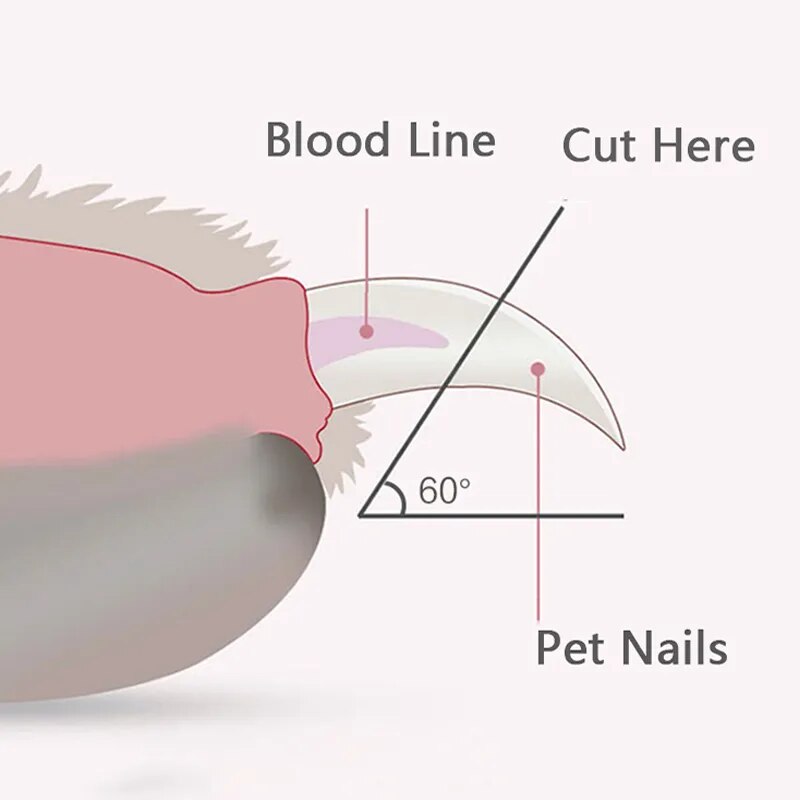 Lightpaw Dog Nail Clippers – Ideal Toenail Trimmers for Small Dogs, Safe and Effortless Grooming