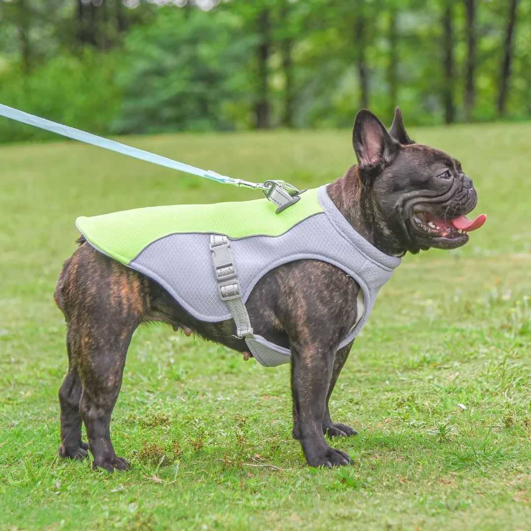 Summer Ice Dog Cooler Vest Dog Cooling Vest For Sunstroke Prevention Water-soakable Dog Cooling Vest Coat Suit