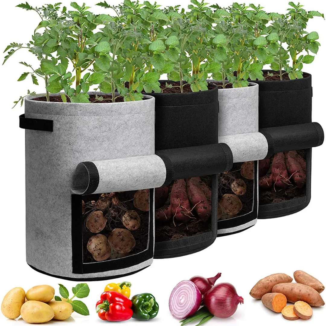 Bags for Planting Potatoes: Sowing and Growing Spuds in Bags for Potato Cultivation