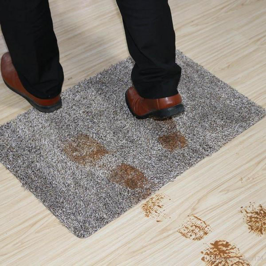 Super Absorbent Doormats Floor Mat for Dogs or Bathroom