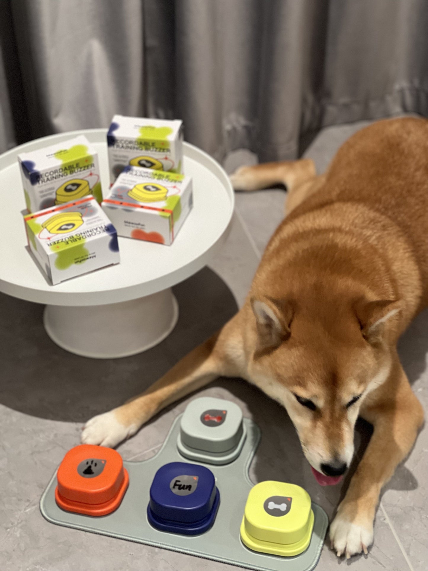 Dog Talking Buttons - Interactive Toys for Dogs to Communicate