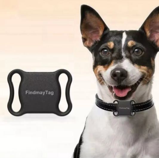 Dog Tracker with GPS – Lightweight Collar Attachment for Real-Time Location Tracking