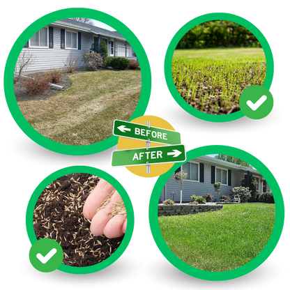 Quick Fix Green Grass Seed Mat