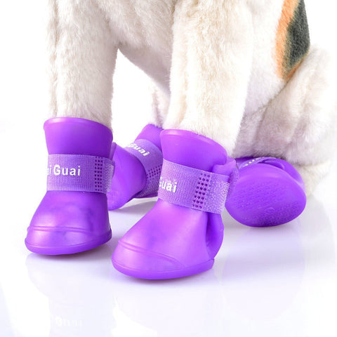 Dog Rain Boots