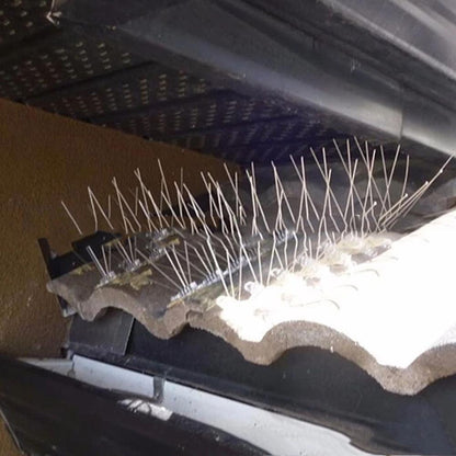 Bird Spikes - Bird Deterrent Spikes