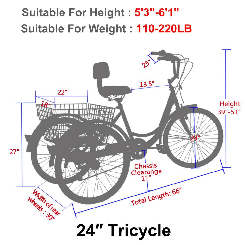 24 Inch Adult Tricycle Trike 3 Wheel Bike 6 Speed Shift + Shopping Basket