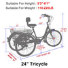 Image of 24 Inch Adult Tricycle Trike 3 Wheel Bike 6 Speed Shift + Shopping Basket