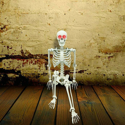 Posable Skeleton - Life Size Posable Skeleton