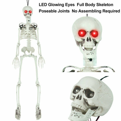 Posable Skeleton - Life Size Posable Skeleton