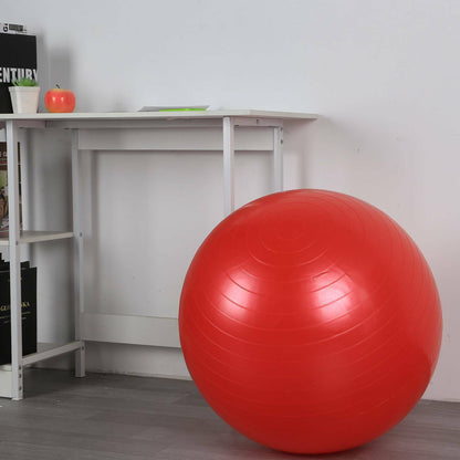 Pregnancy Birthing Ball Yoga Swiss Ball