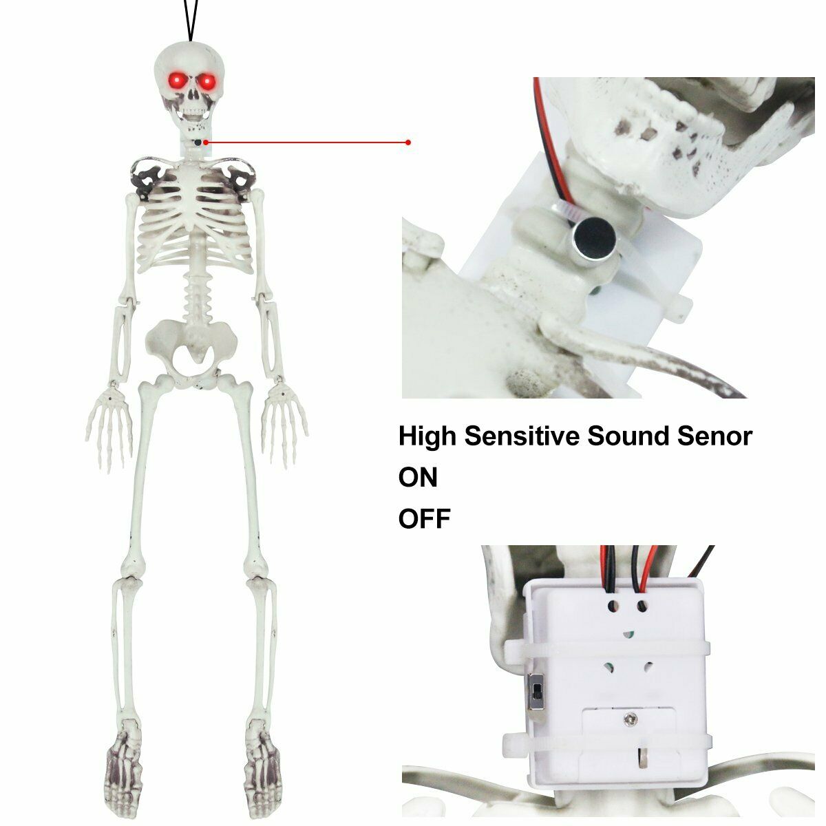 Posable Skeleton - Life Size Posable Skeleton