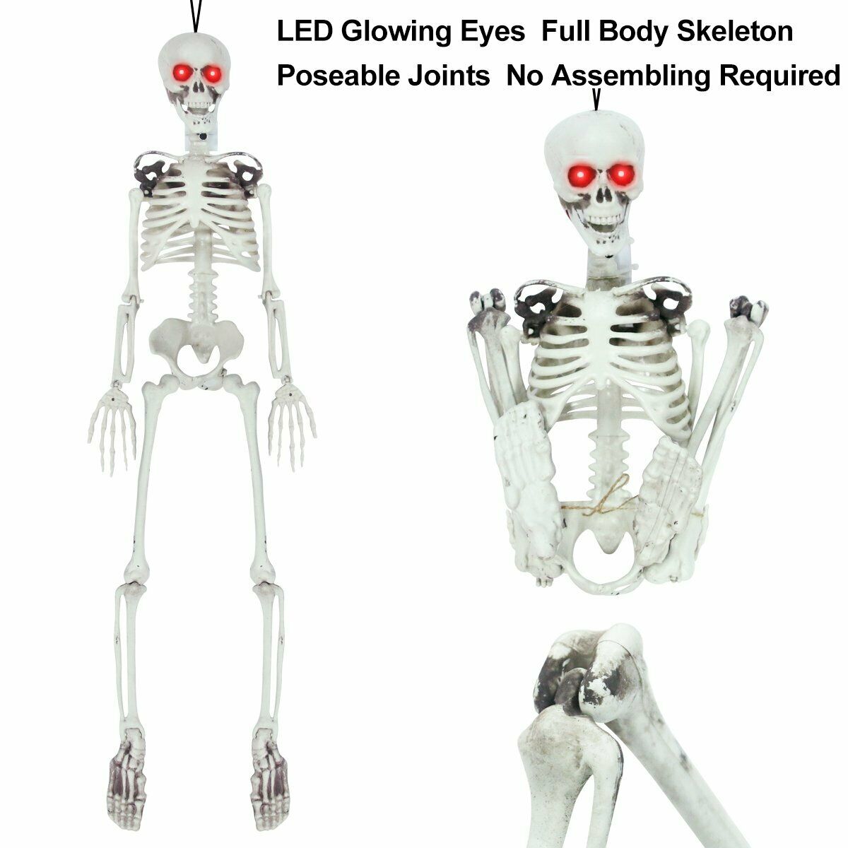 Posable Skeleton - Life Size Posable Skeleton