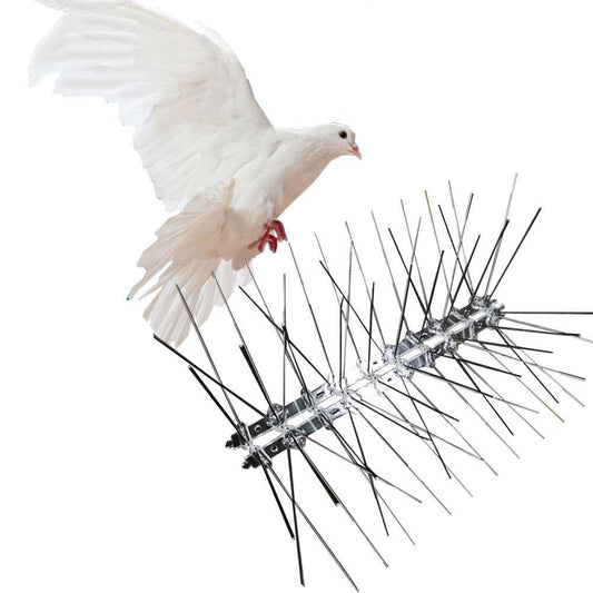 Bird Spikes - Bird Deterrent Spikes