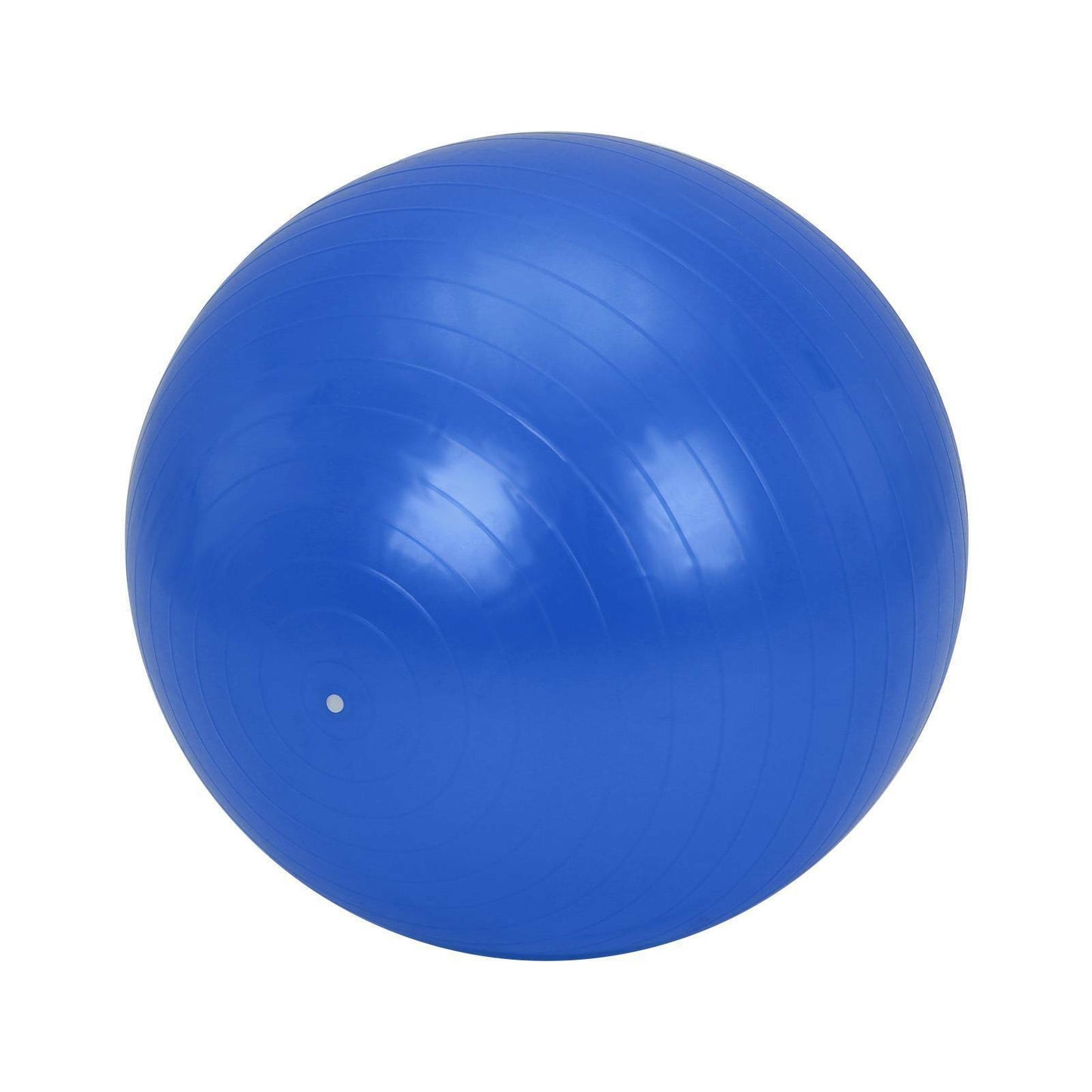 Pregnancy Birthing Ball Yoga Swiss Ball