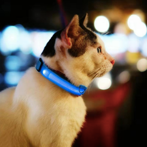 Light Up Dog Collar - Flashing Dog Collar