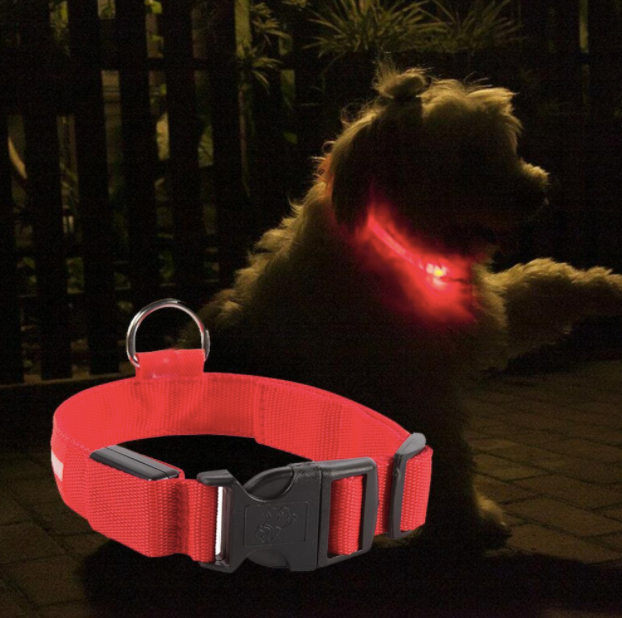 Light Up Dog Collar - Flashing Dog Collar