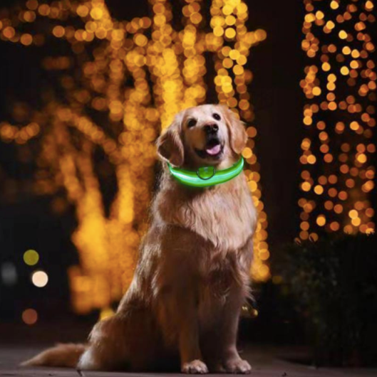 Light Up Dog Collar - Flashing Dog Collar