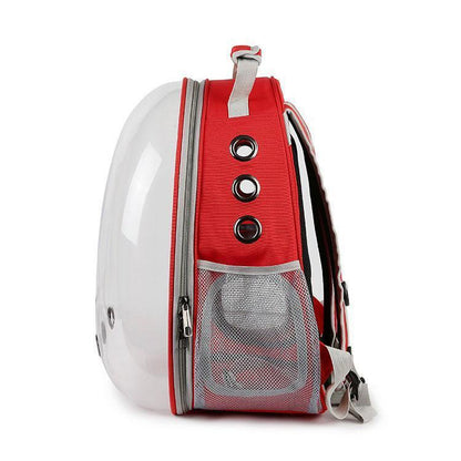 Clear Cover Parrot Bird Carrier Backpack with Stainless Steel Perch Stand & Feeder - Balma Home