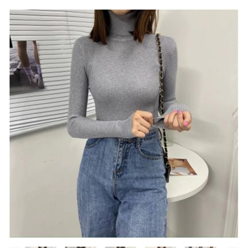 Polo Neck Jumper for Women