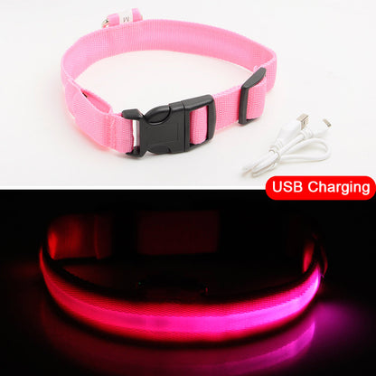 Light Up Dog Collar - Flashing Dog Collar