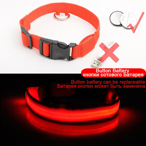 Light Up Dog Collar - Flashing Dog Collar