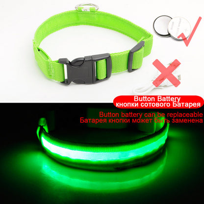 Light Up Dog Collar - Flashing Dog Collar