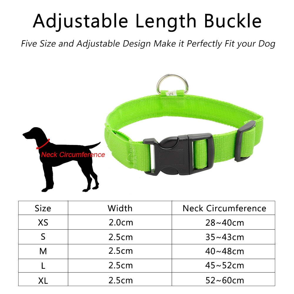 Light Up Dog Collar - Flashing Dog Collar