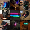 Image of Light Up Dog Collar - Flashing Dog Collar